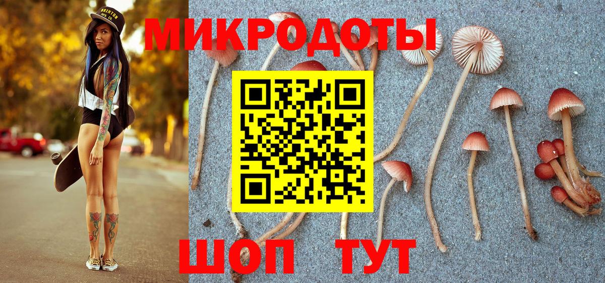 Галлюциногенные грибы MAGIC MUSHROOMS Свободный