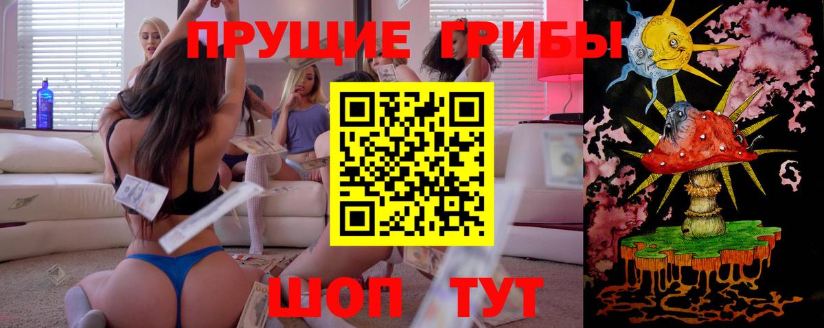Свободный  Псилоцибиновые грибы мухоморы  Вход с VPN 